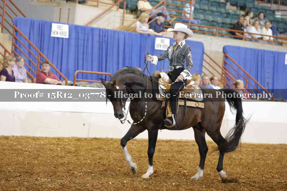 Proof 15R12_03778