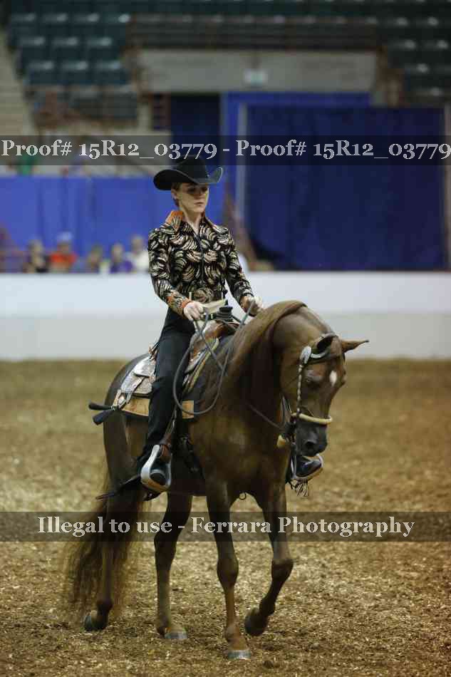Proof 15R12_03779