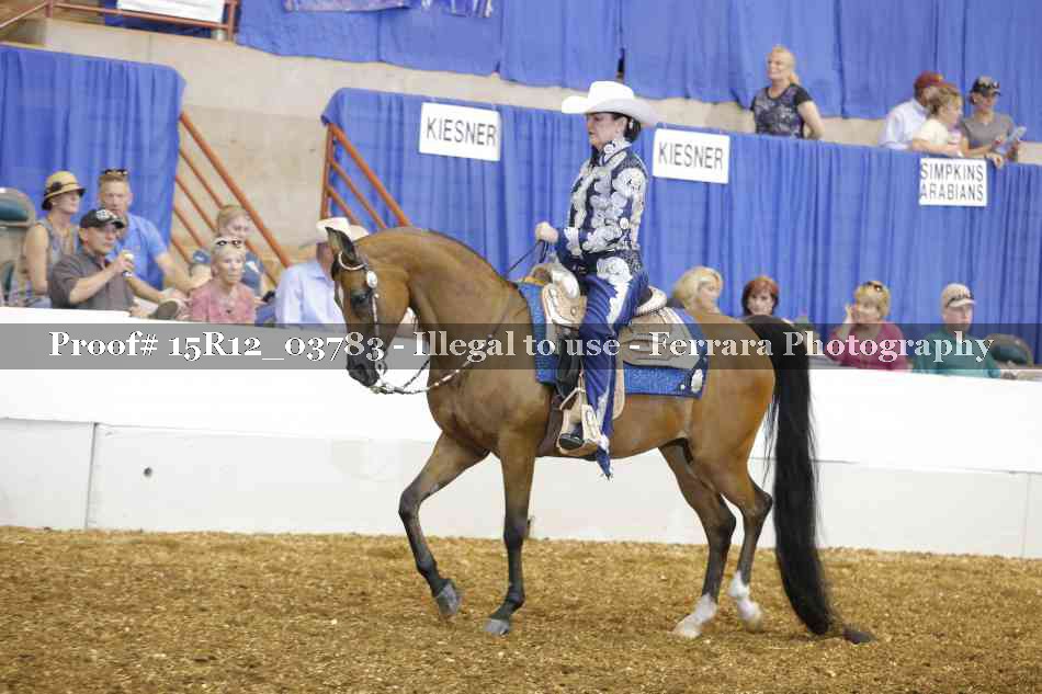 Proof 15R12_03783