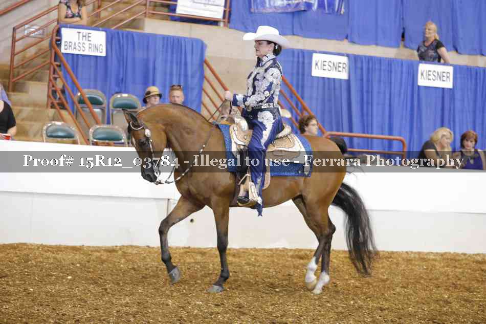 Proof 15R12_03784