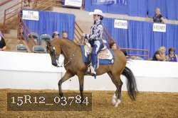15R12_03784 proof