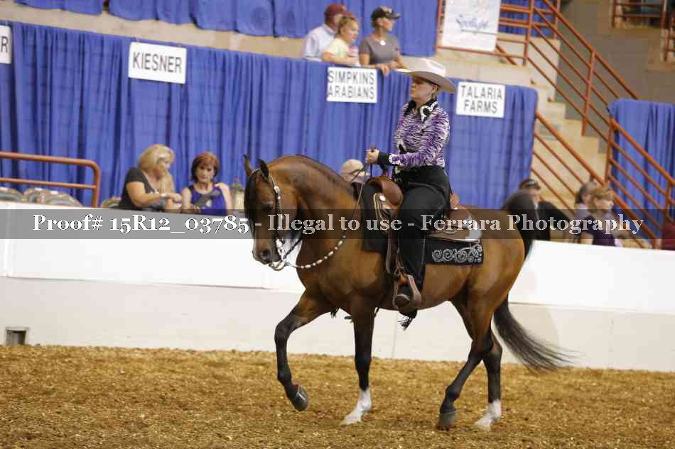Proof 15R12_03785