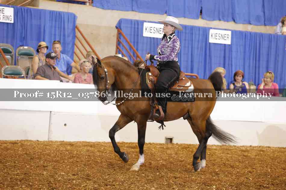 Proof 15R12_03786
