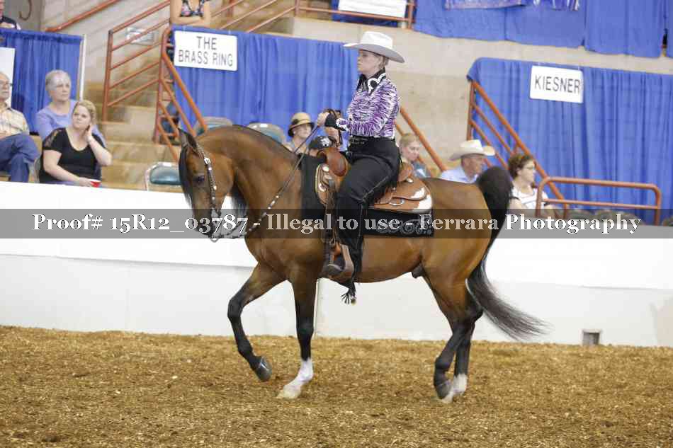 Proof 15R12_03787