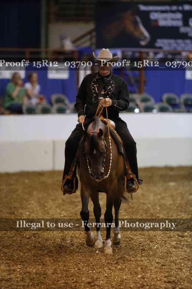 Proof 15R12_03790