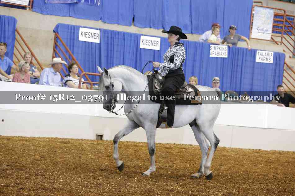 Proof 15R12_03791