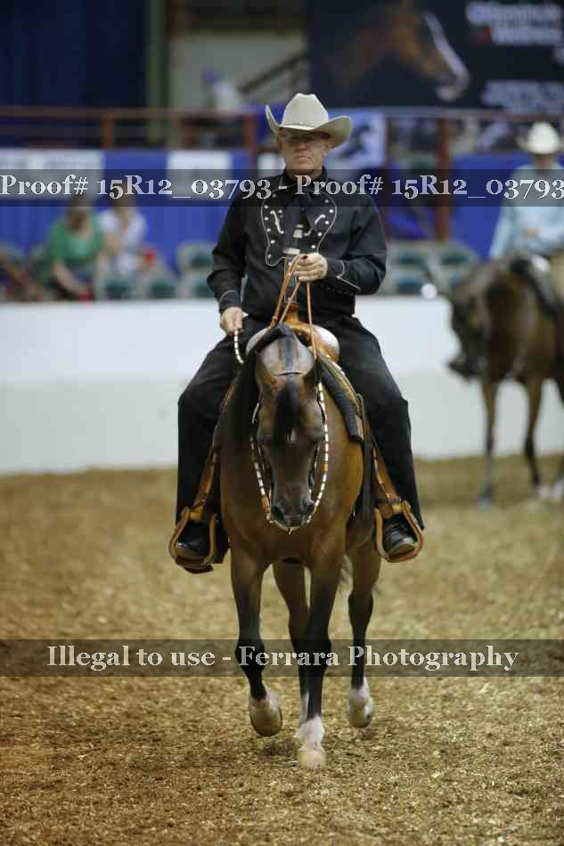 Proof 15R12_03793