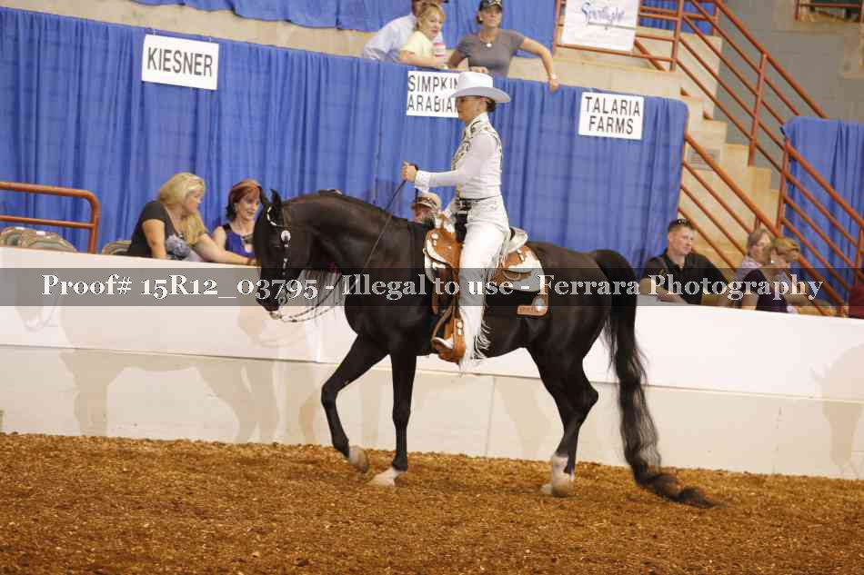 Proof 15R12_03795