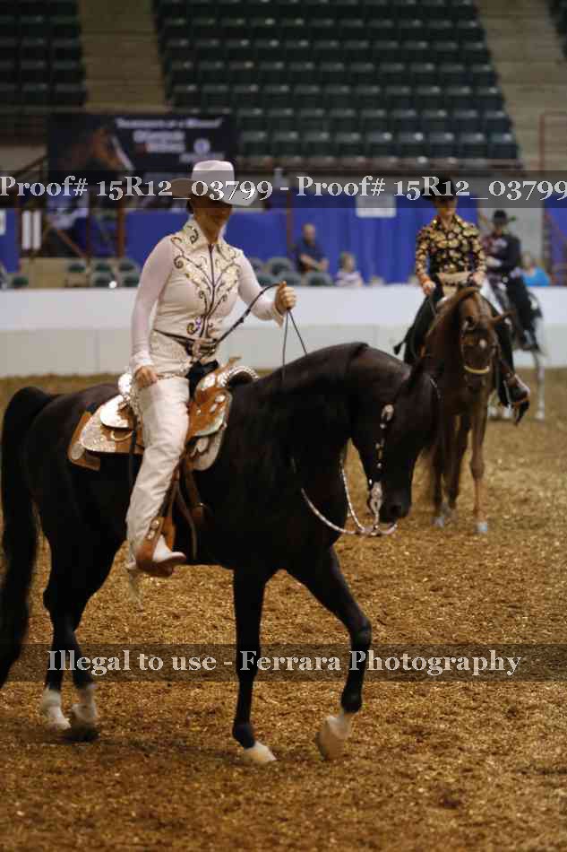 Proof 15R12_03799