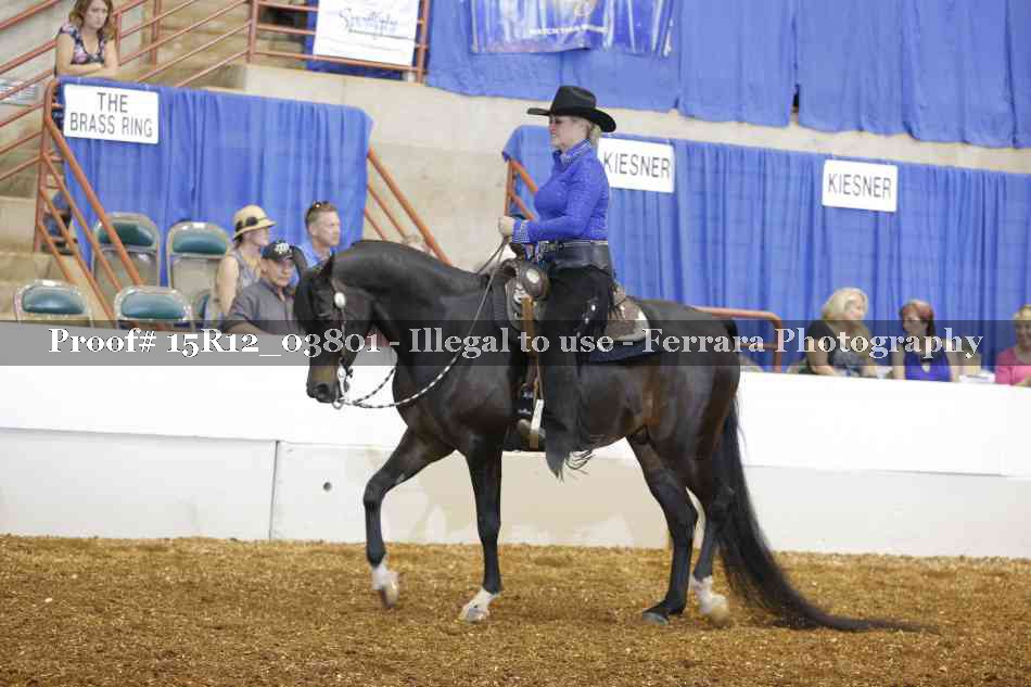 Proof 15R12_03801