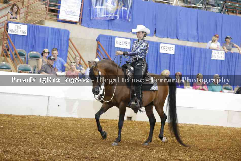 Proof 15R12_03802