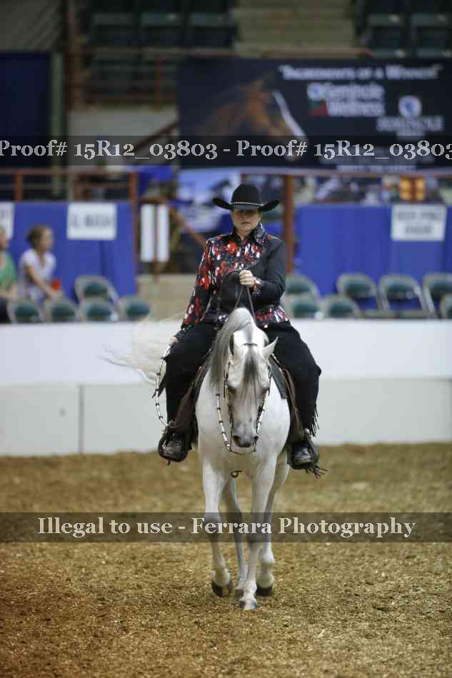 Proof 15R12_03803