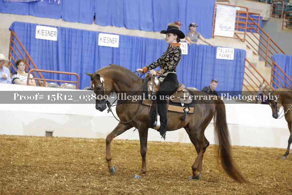 Proof 15R12_03809
