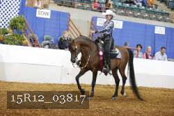 15R12_03817 proof