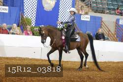 15R12_03818 proof