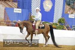 15R12_03823 proof