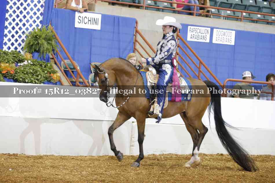 Proof 15R12_03827