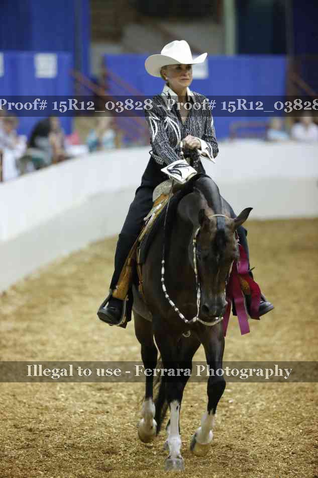 Proof 15R12_03828