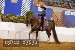 15R12_03832 proof