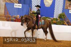15R12_03833 proof