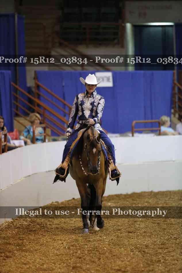 Proof 15R12_03834