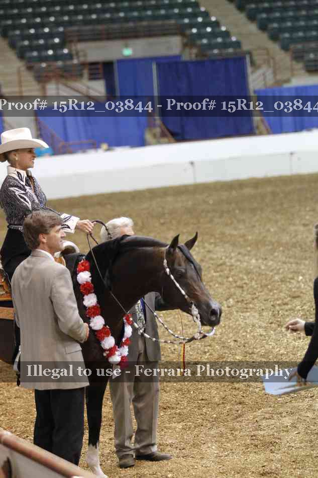 Proof 15R12_03844