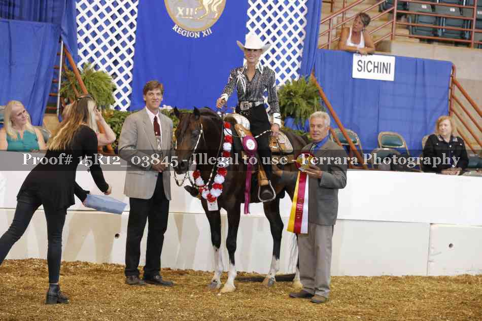 Proof 15R12_03845