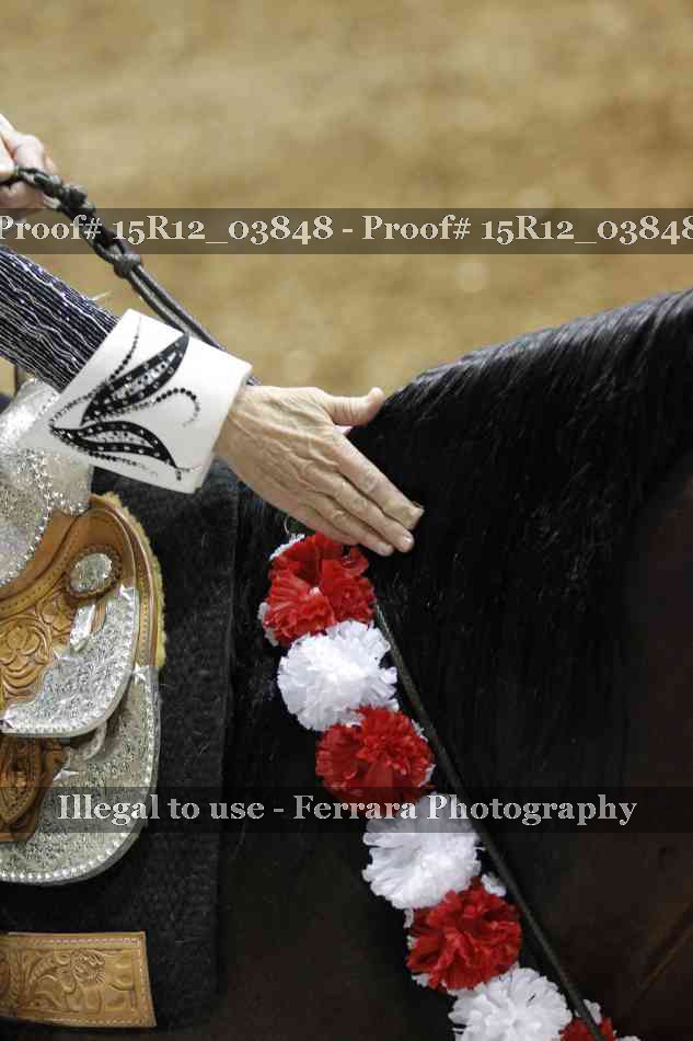 Proof 15R12_03848