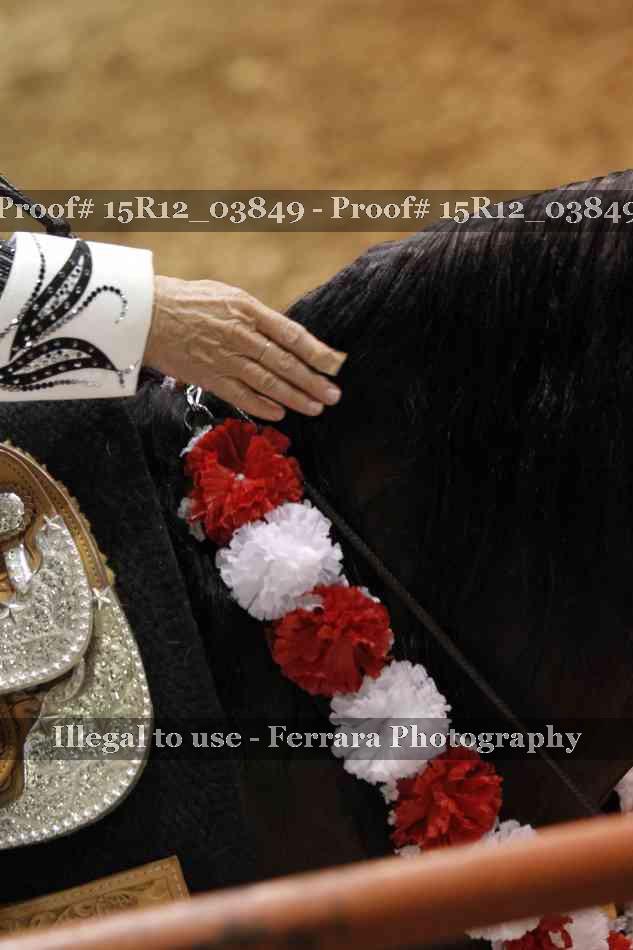 Proof 15R12_03849