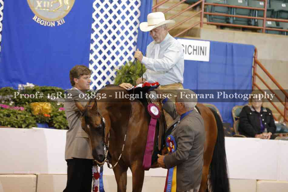 Proof 15R12_03852