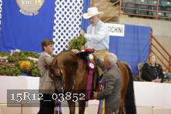 15R12_03852 proof