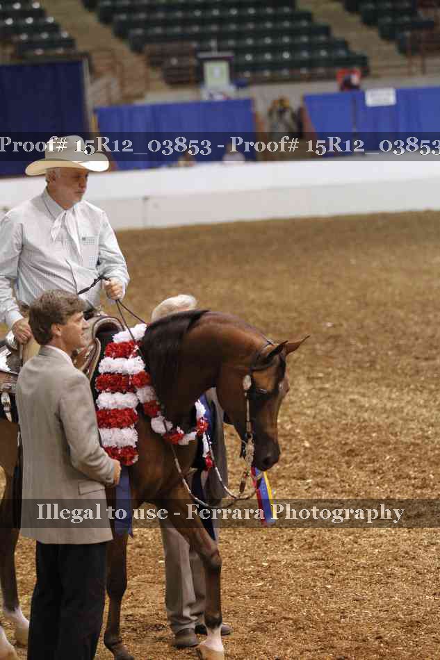 Proof 15R12_03853