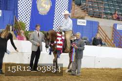 15R12_03854 proof