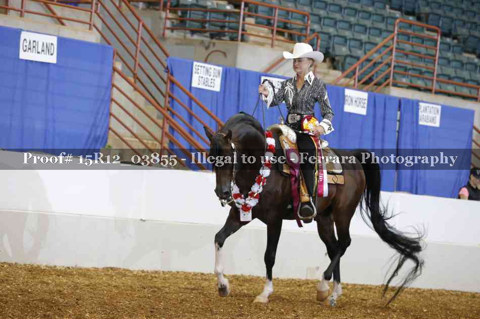 Proof 15R12_03855