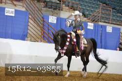 15R12_03855 proof