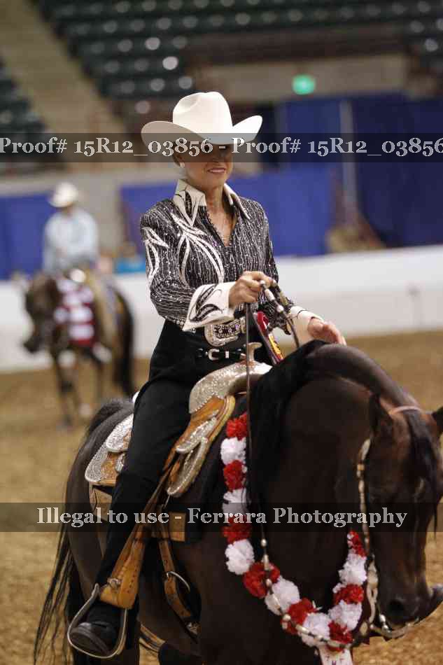 Proof 15R12_03856