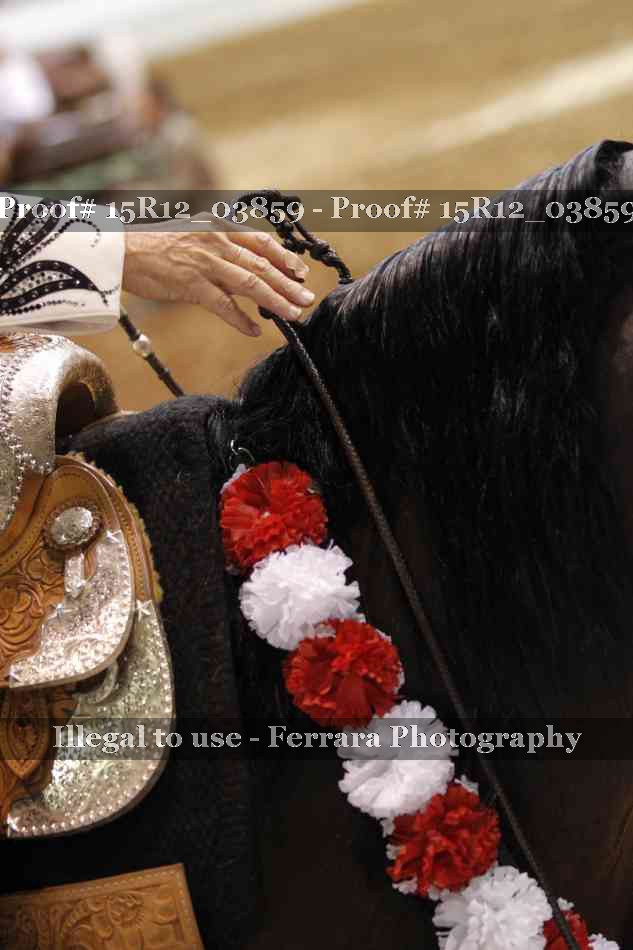 Proof 15R12_03859