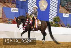 15R12_03861 proof