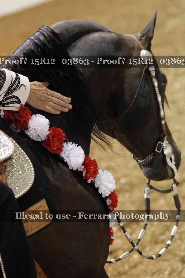 Proof 15R12_03863