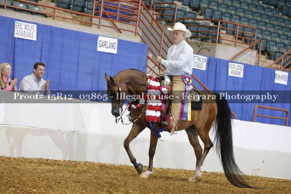 Proof 15R12_03865
