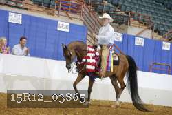 15R12_03865 proof