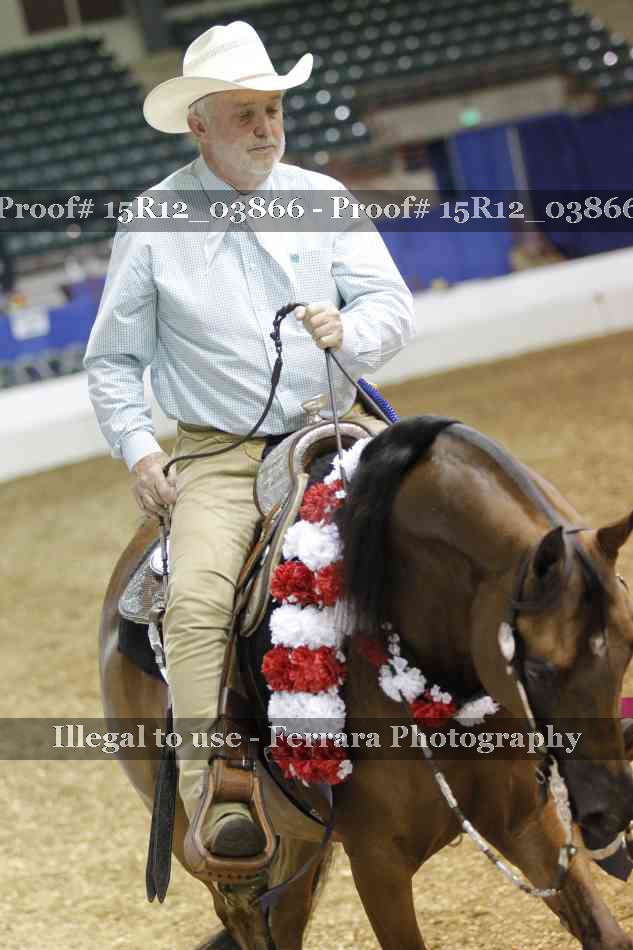 Proof 15R12_03866