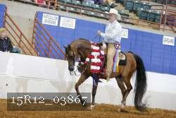 15R12_03867 proof