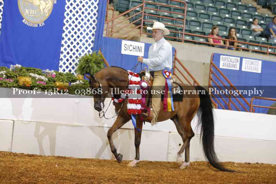 Proof 15R12_03868