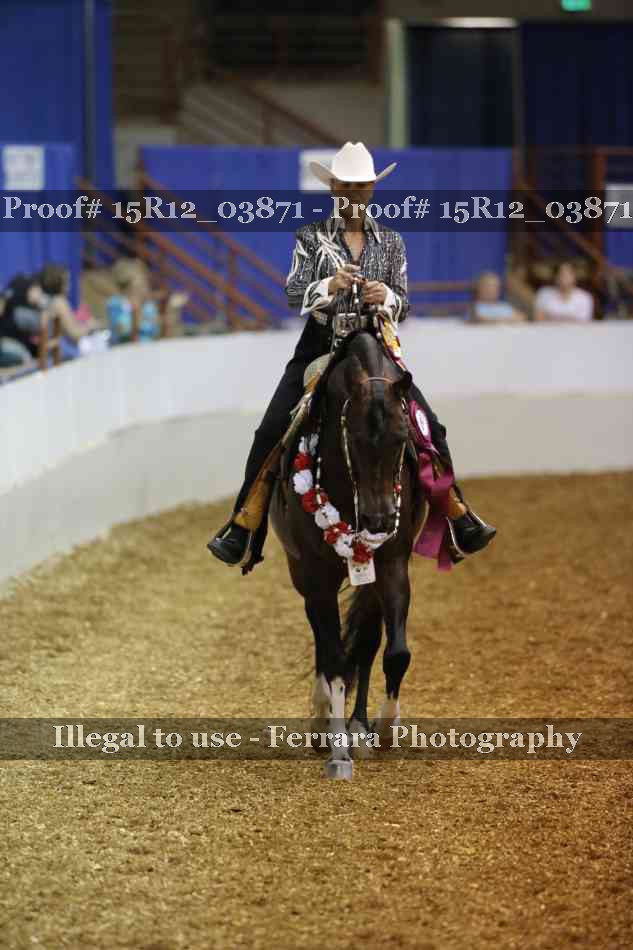 Proof 15R12_03871