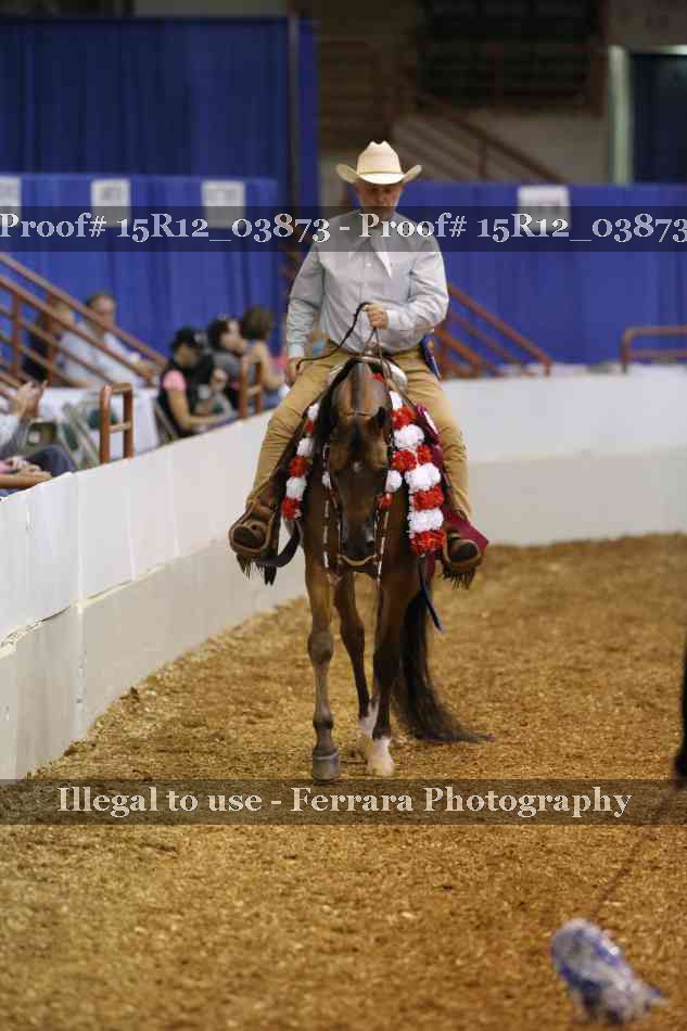 Proof 15R12_03873