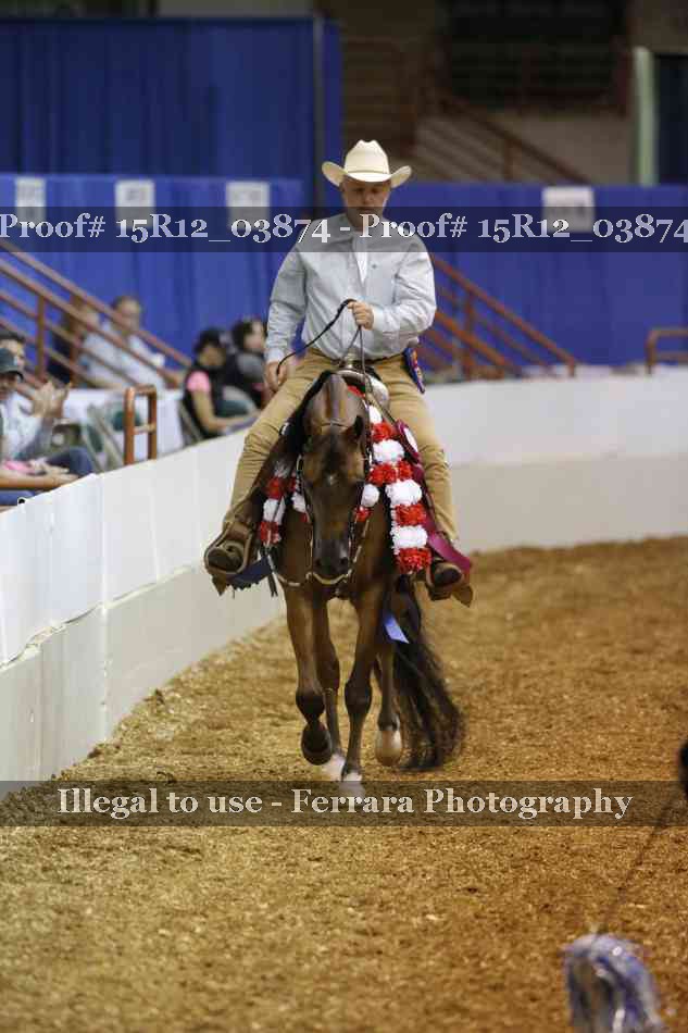 Proof 15R12_03874