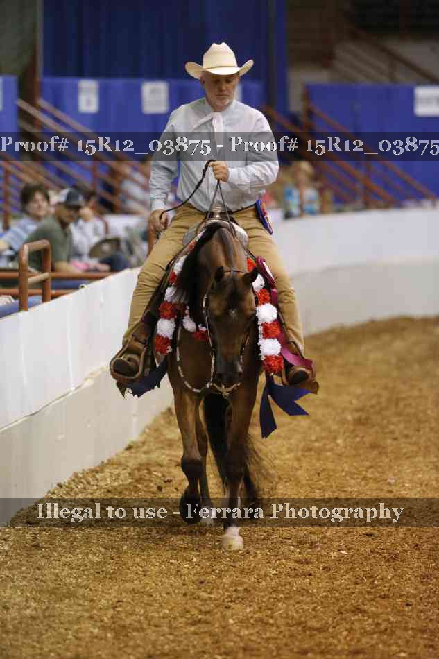 Proof 15R12_03875