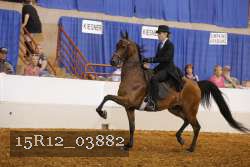 15R12_03882 proof