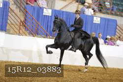 15R12_03883 proof